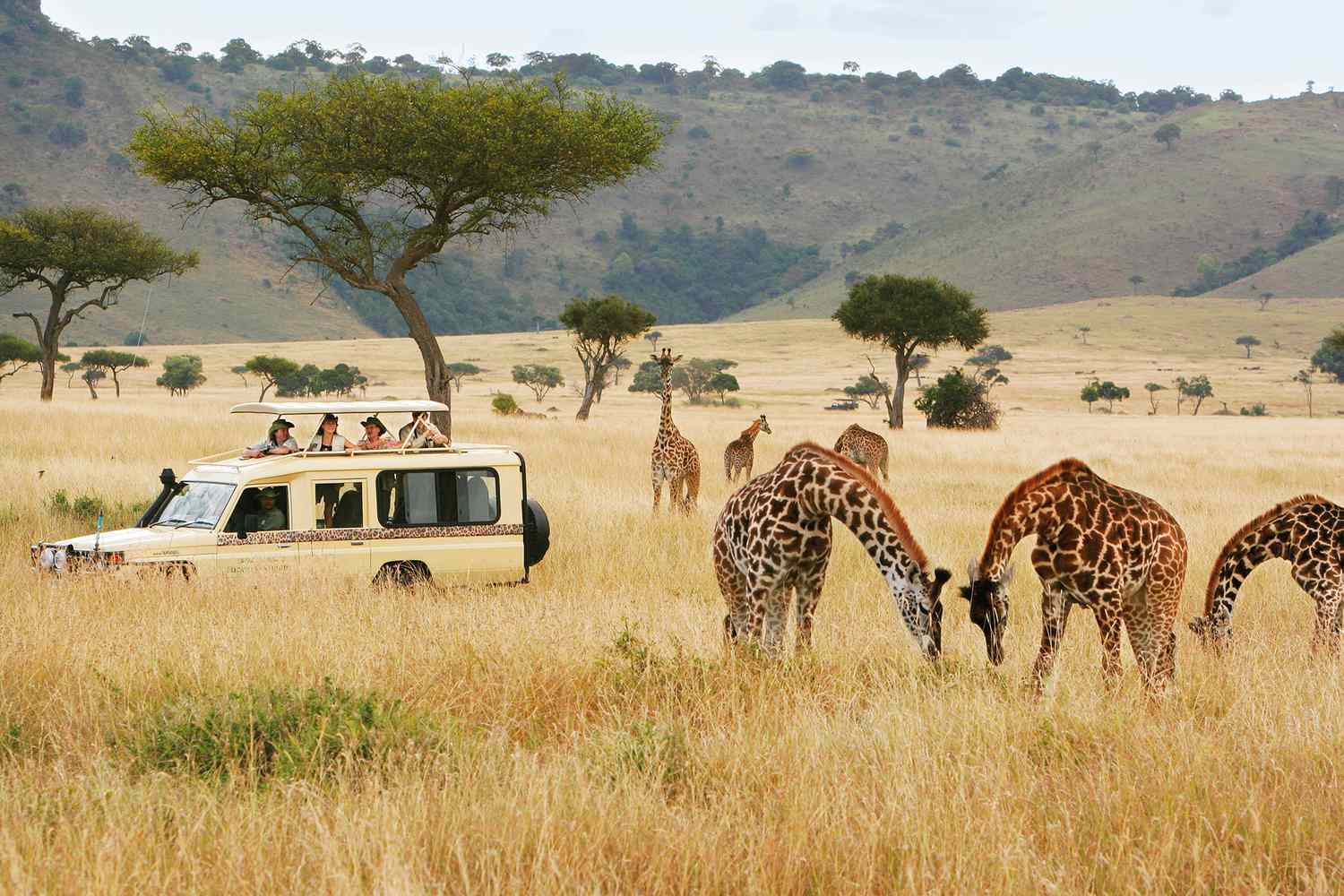 6-Day Amboseli, Lake Naivasha & Masai Mara — Luxury