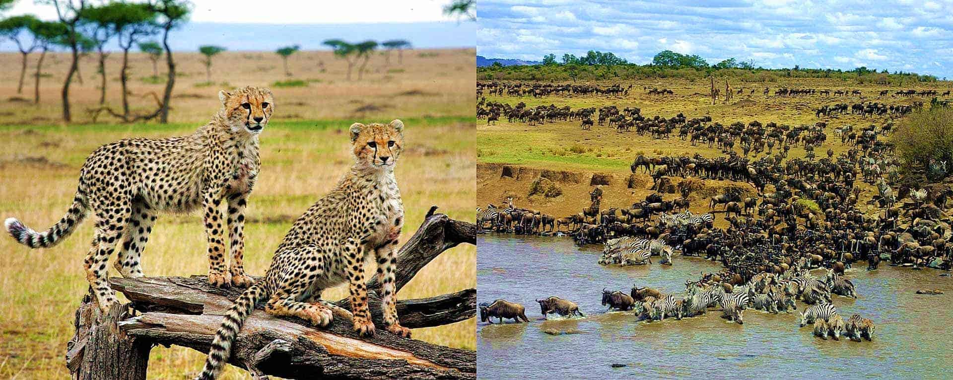 4-Day Ultra-Luxury Kenya Safari