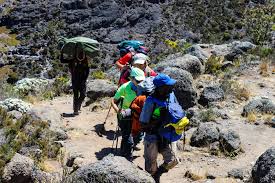 Northern Circuit Route scenic view Kilimanjaro