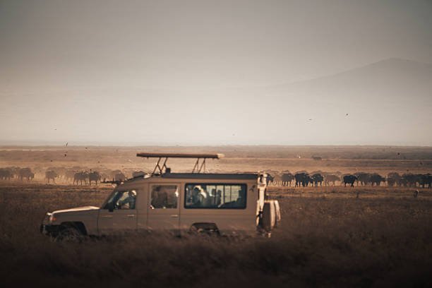 Serengeti National Park