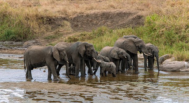 Kitulo National Park