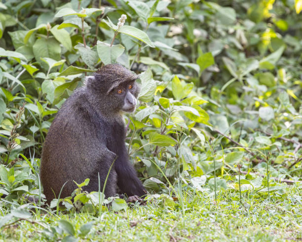 Arusha National Park