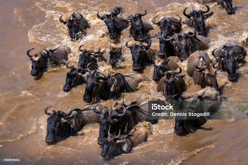 Serengeti National Park