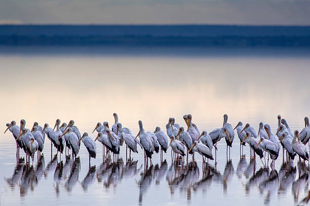 Lake Manyara