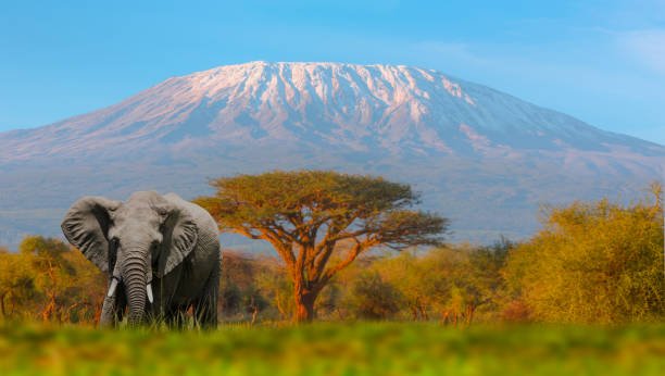 Kilimanjaro climbing route Marangu Tanzania