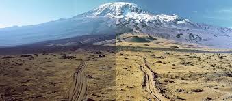 Kilimanjaro trekker navigating the Barranco Wall or Shira Plateau