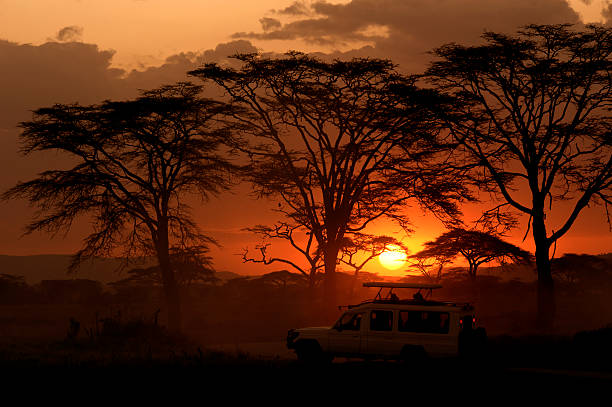 Safari vehicle driving through Serengeti National P:/ark landscape with acacia trees