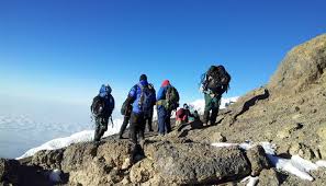 Umbwe route forest section Kilimanjaro