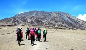 Kilimanjaro Mountain Views