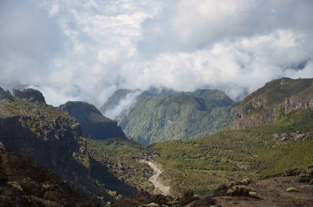 Mount Kilimanjaro Marangu route path