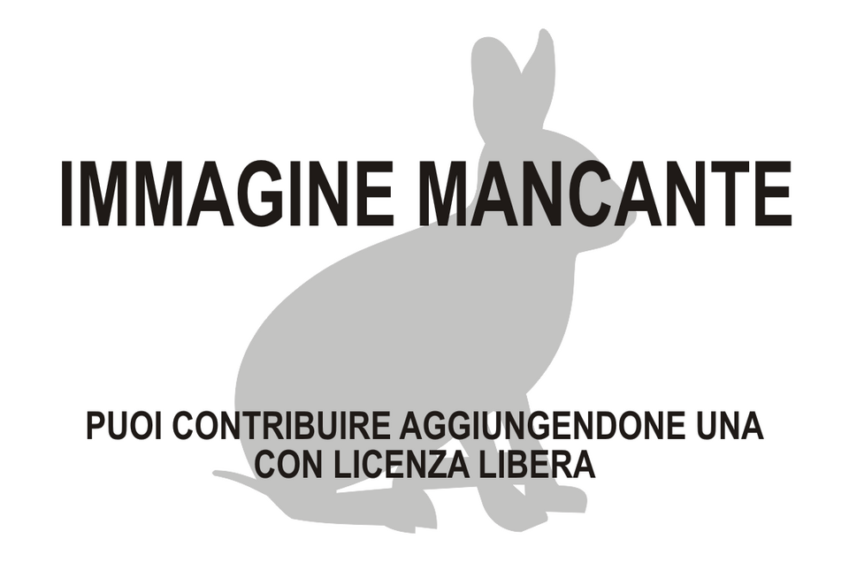 Bunyoro Rabbit