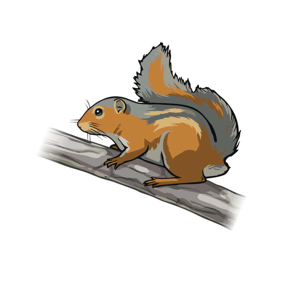 Fire-footed Rope Squirrel