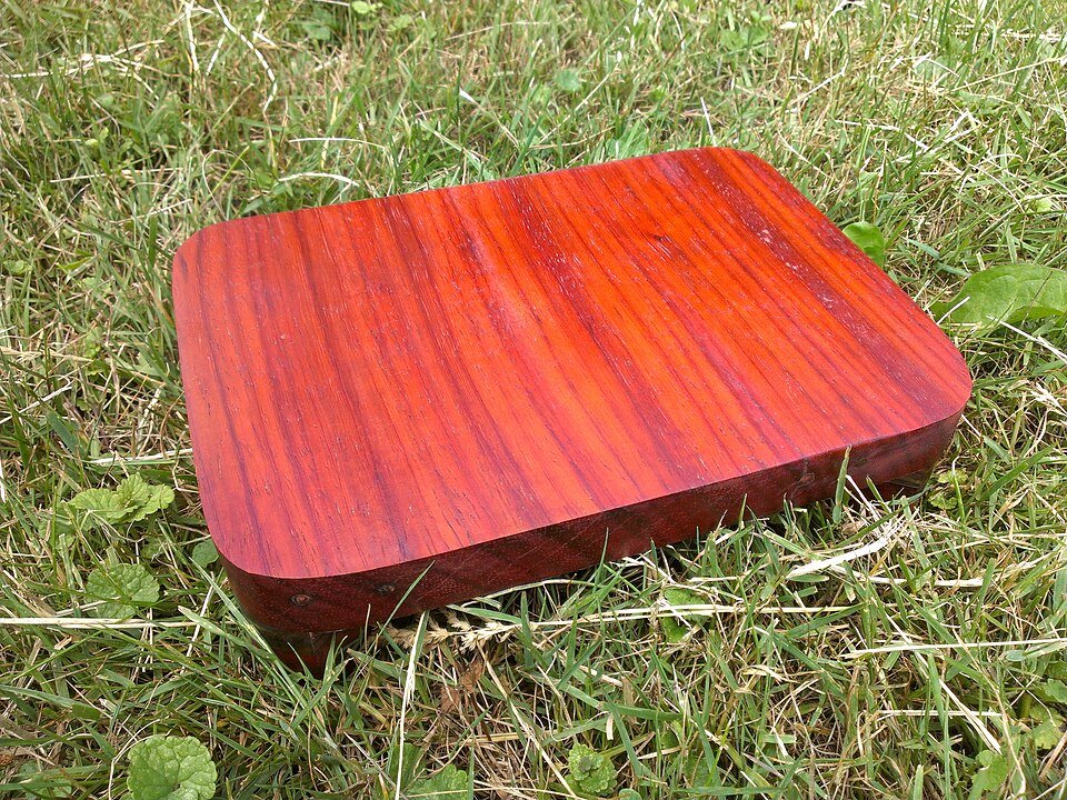 African Padauk