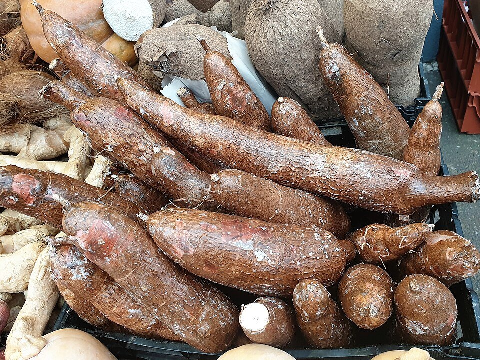 Cassava Leaves