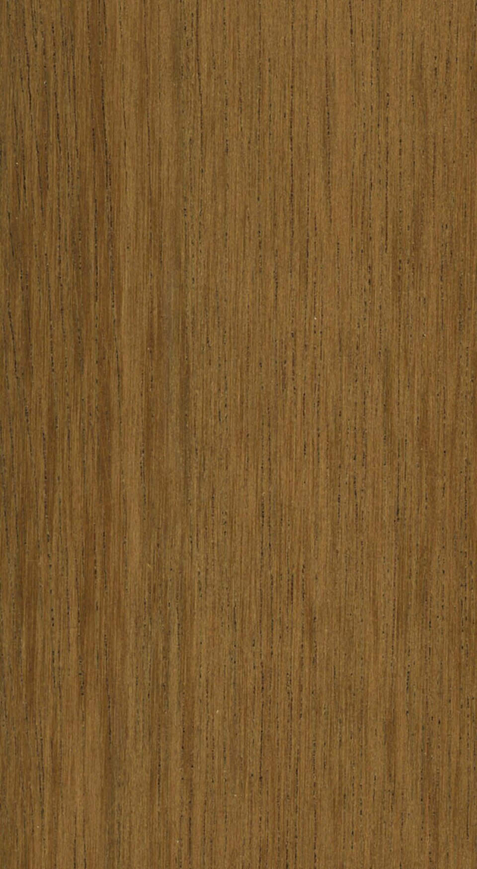 Congo Basin Mahogany