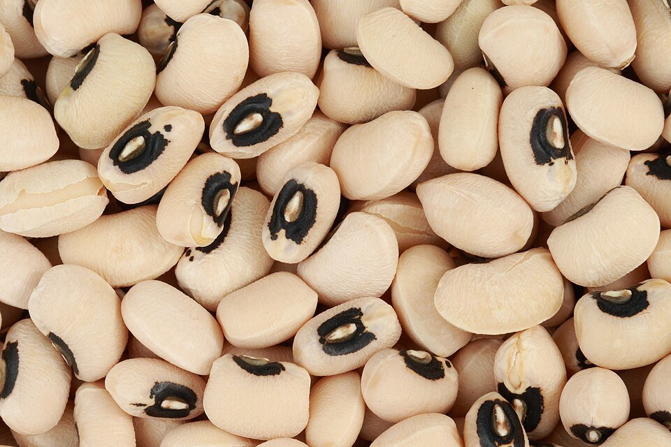 Cowpea Leaves