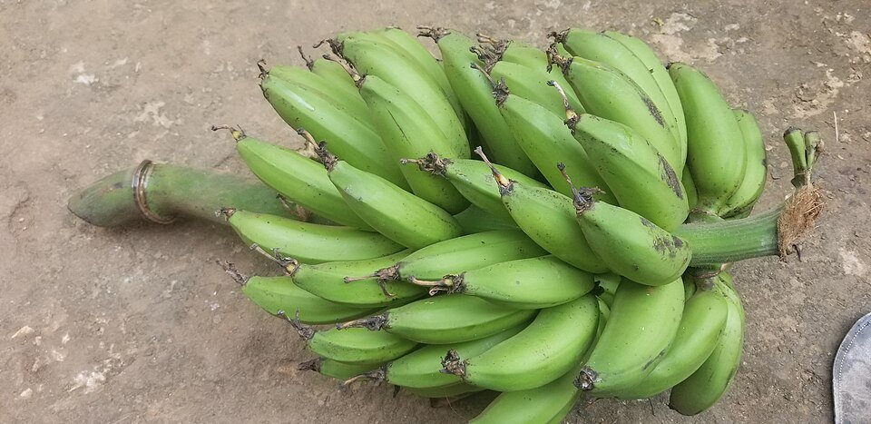 East African Highland Banana
