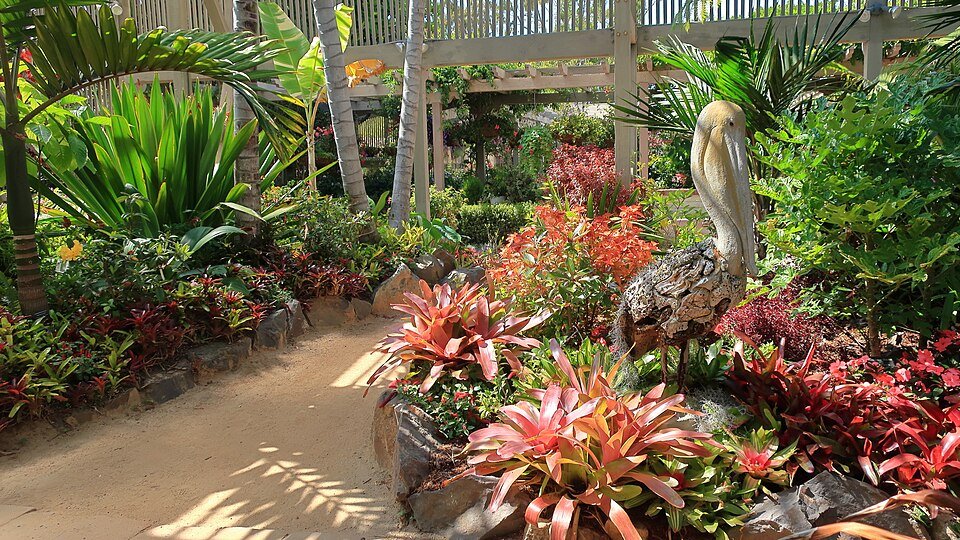 Endemic Herbs