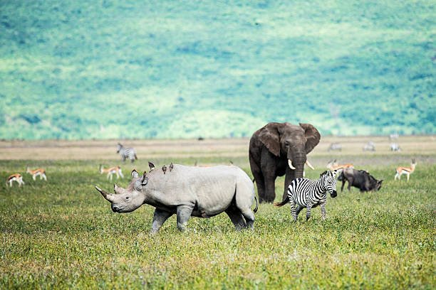 Rumanyika-Karagwe National Park