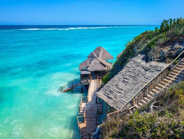 Mnemba Island