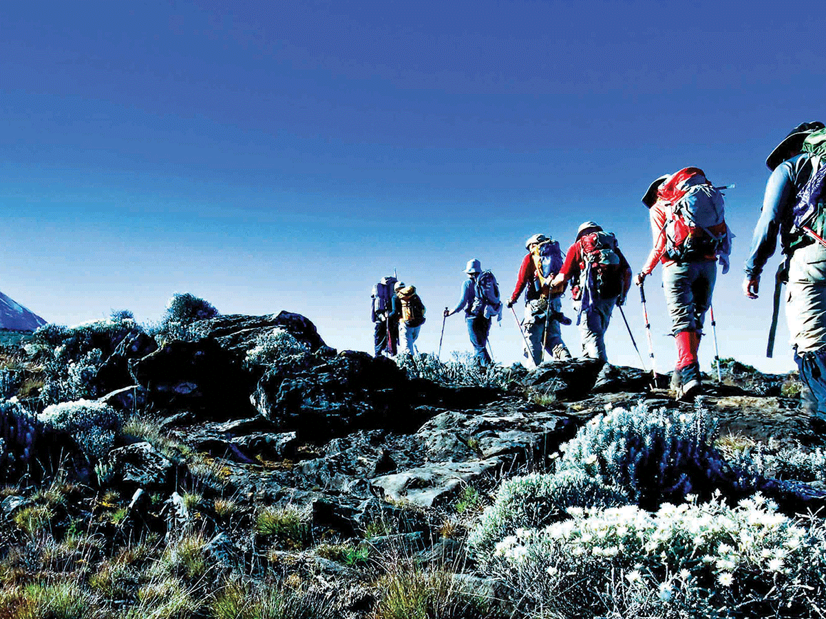 10 Days Kilimanjaro Climbing – Northern Circuit Route