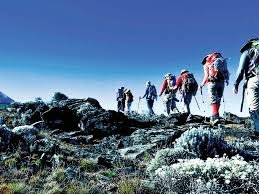 Kilimanjaro Climbs