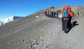 6 Days "Kilimanjaro Umbwe Route – To the Roof of Africa"