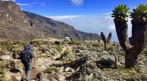 7 Days "Kilimanjaro Machame Route – To the Roof of Africa"