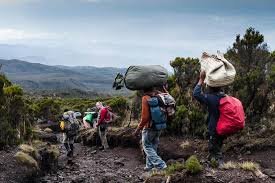 7 Days "Kilimanjaro Umbwe Route – To the Roof of Africa"