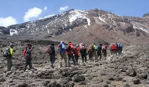 8 Days Lemosho Route – Kilimanjaro Climb