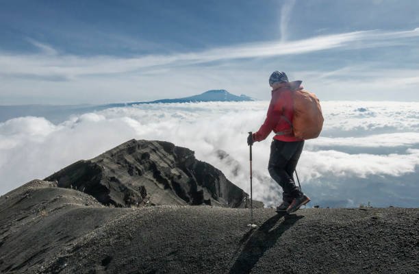 _6 Days Tanzania combo package for 3 days mount Meru and 3 Days Safari