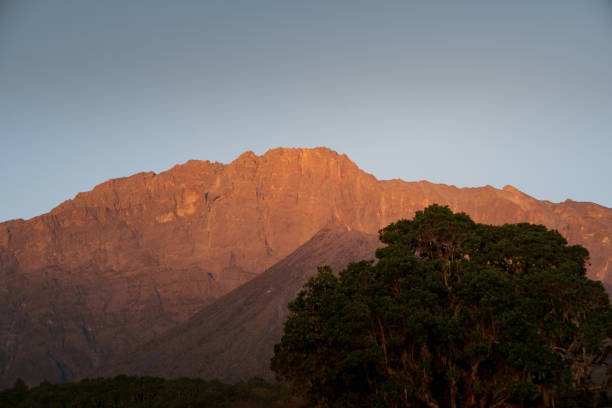 7 Days Tanzania Combo Package: Mount Meru & Safari Adventure