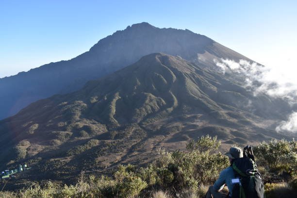 8 Days Tanzania Combo Package: Mount Meru & Safari Adventure