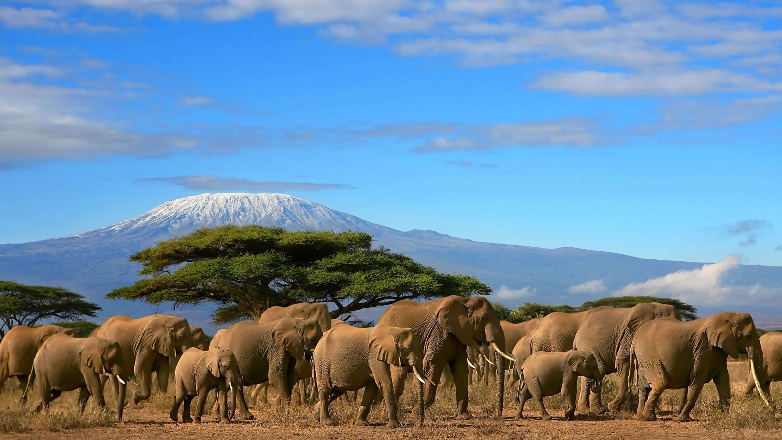 4 Days Masai Mara Lake Naivasha Hell's Gate Adventure