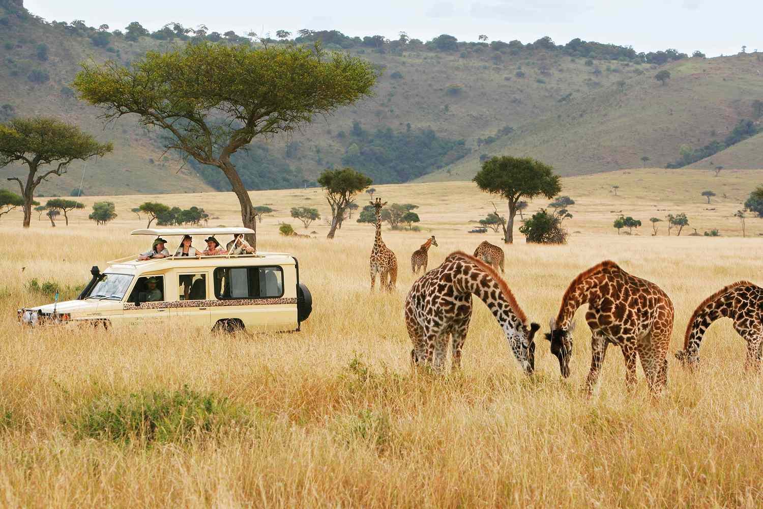 4 Days Ultra-Luxury Kenya Safari