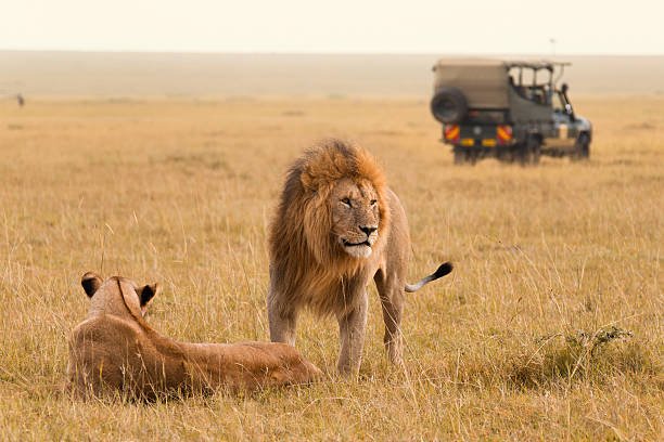 5 Days Masai Mara, Nakuru & Naivasha Private Safari | Kenya Safari 2026