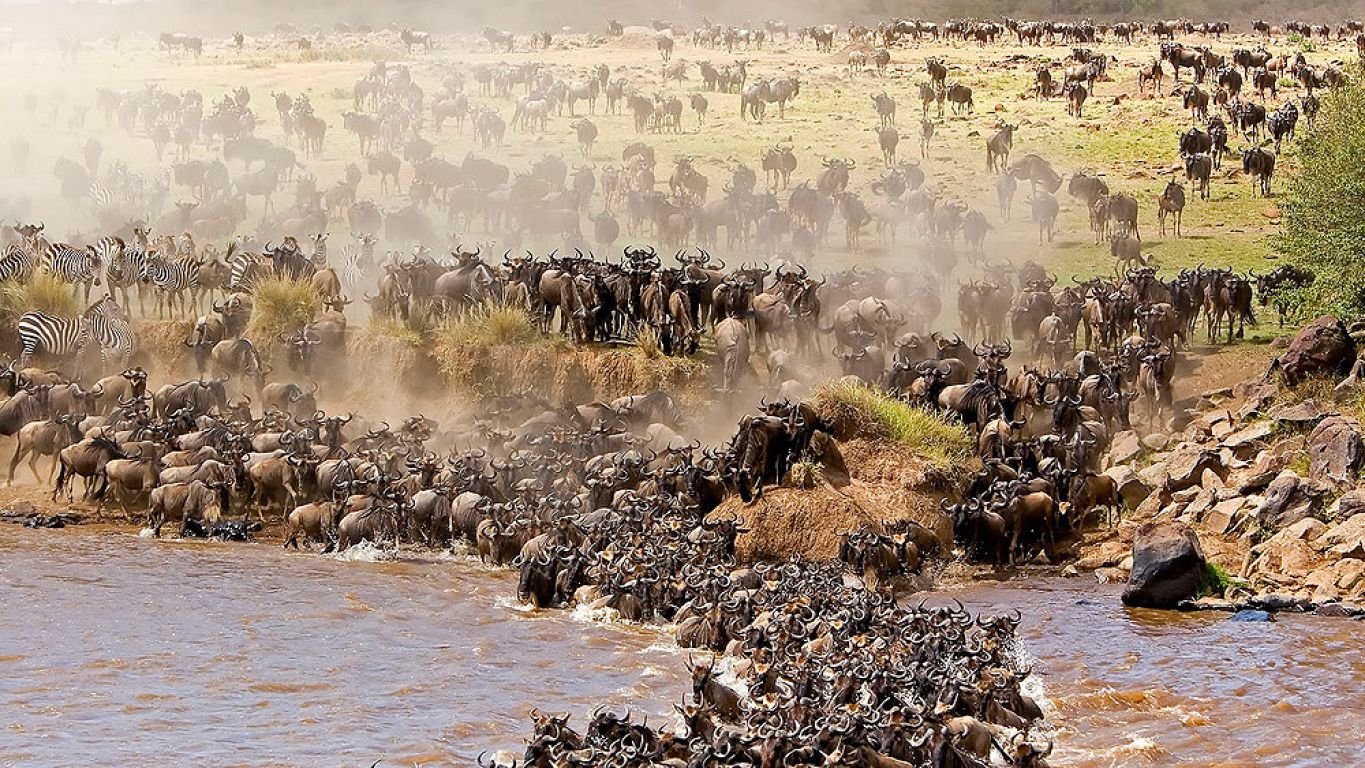 3 Days Wildlife Adventure Mikumi National Park