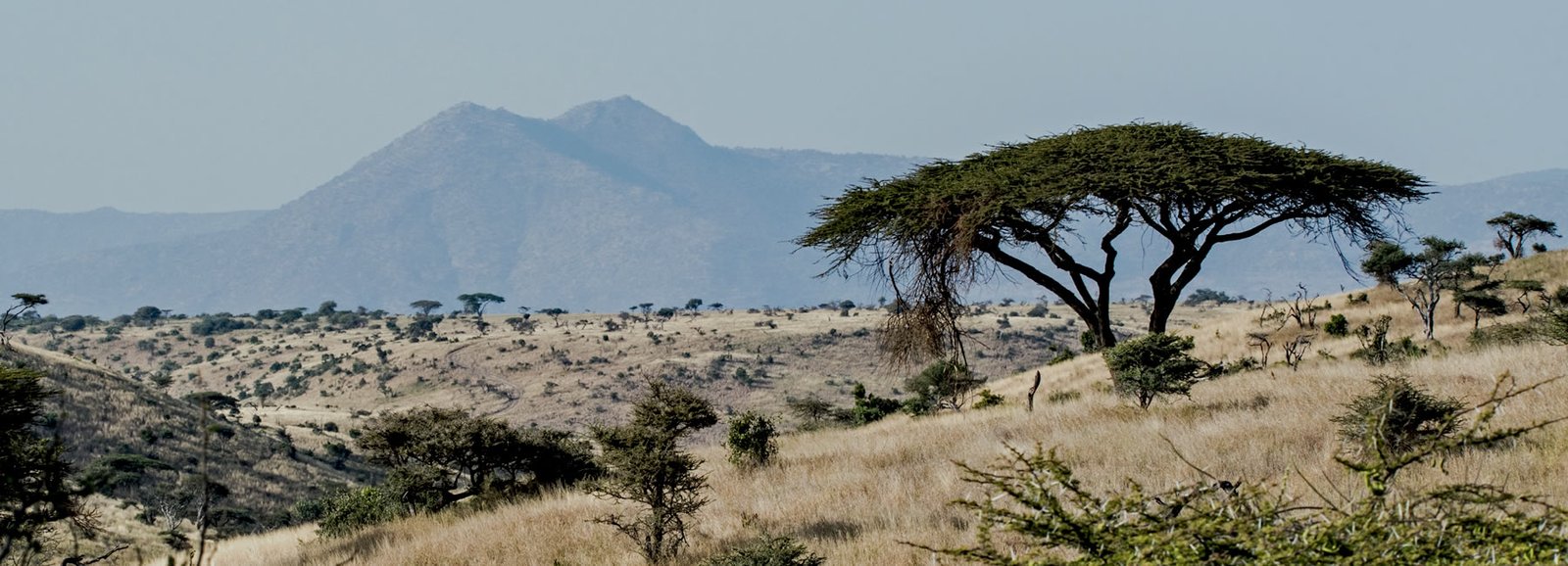 7 Days Best of Uganda Safari